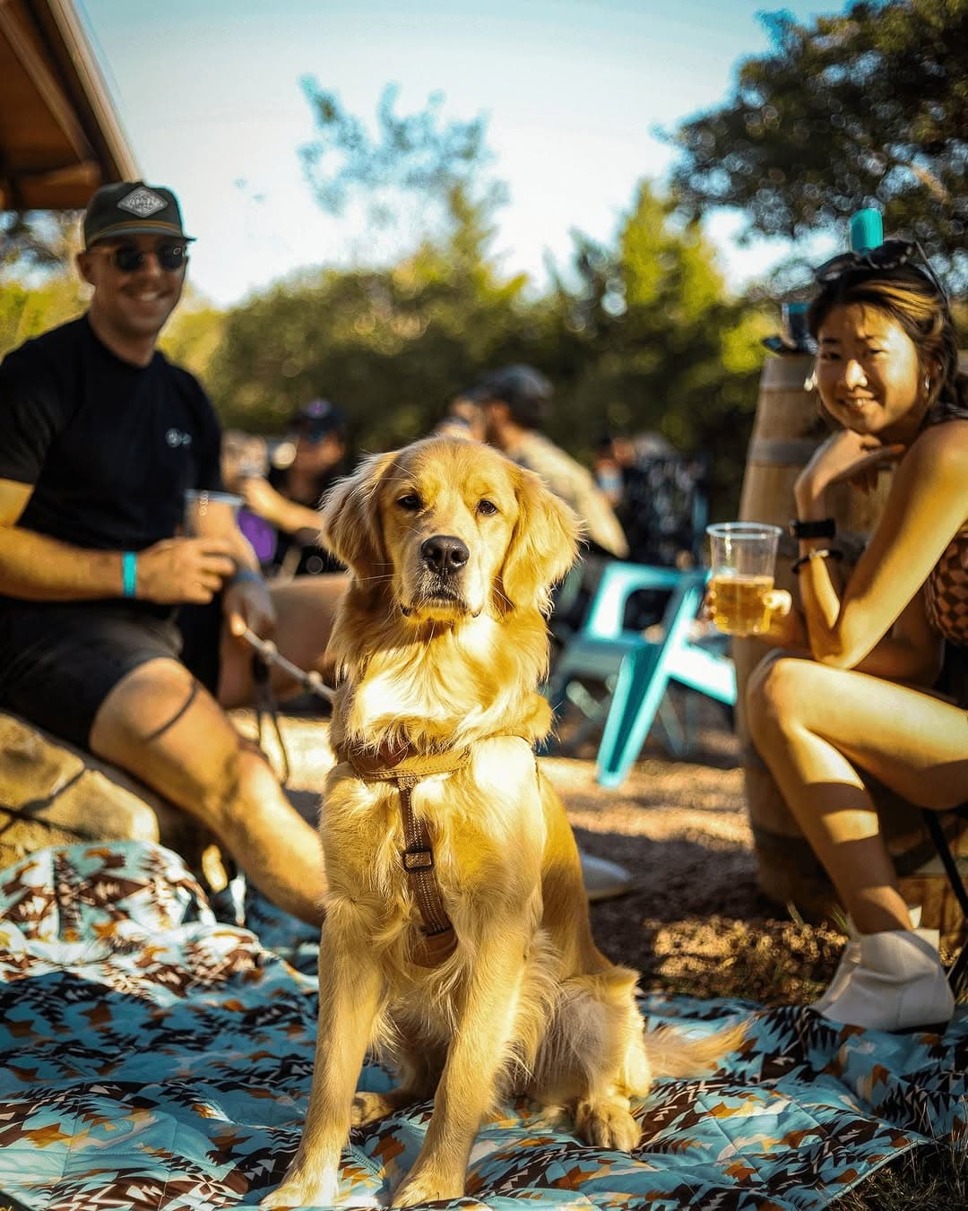 March Events at Vista Brewing — 1 of 5