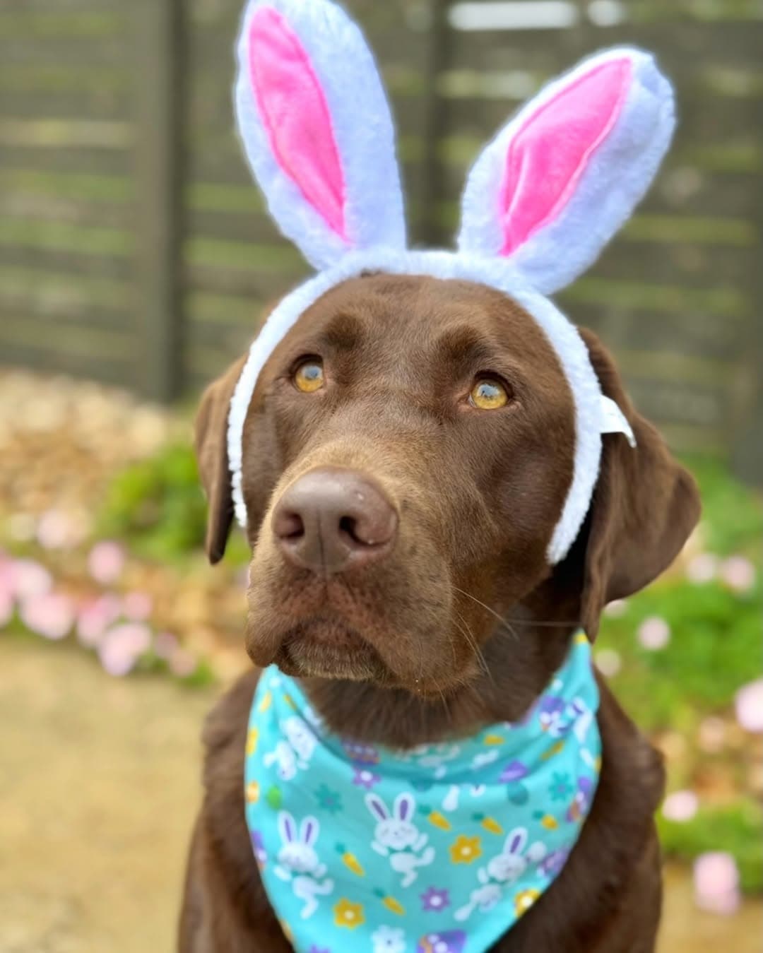 Post media — 1 of 3