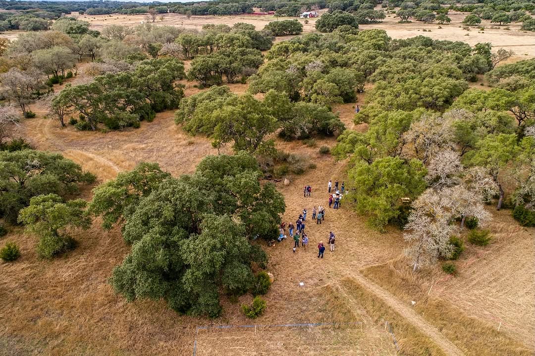 Vista Brewing Anniversary Celebration — 1 of 3