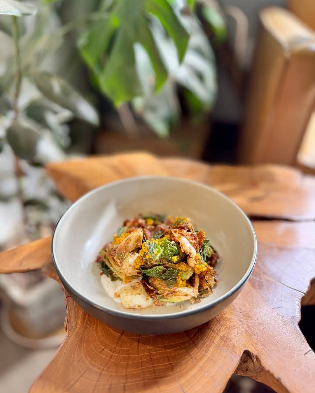 New Vegetarian Menu Items at Vista Brewing — 1 of 2