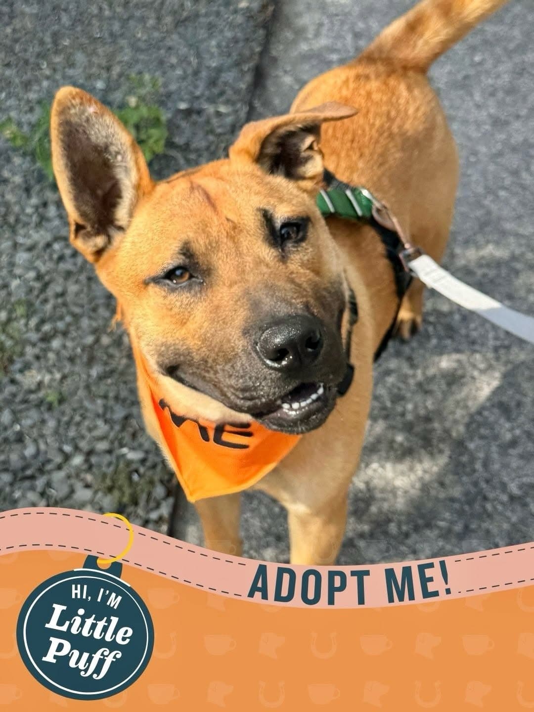 Post media — 1 of 3