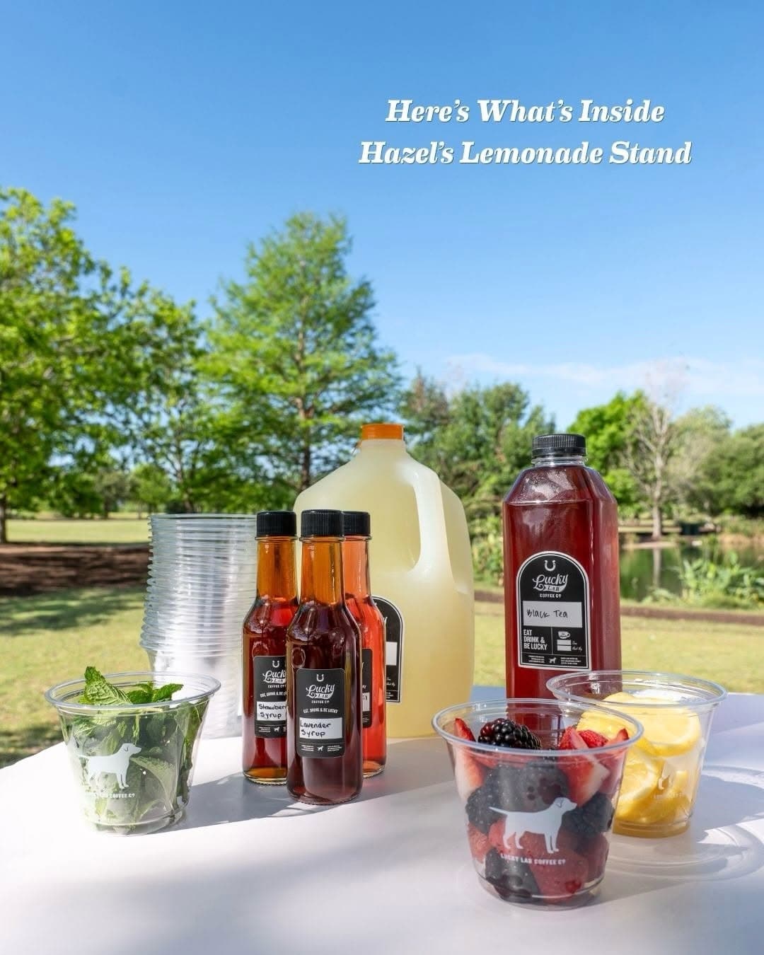 Hazel's Lemonade Stand at Lucky Lab Coffee Co. — 1 of 6