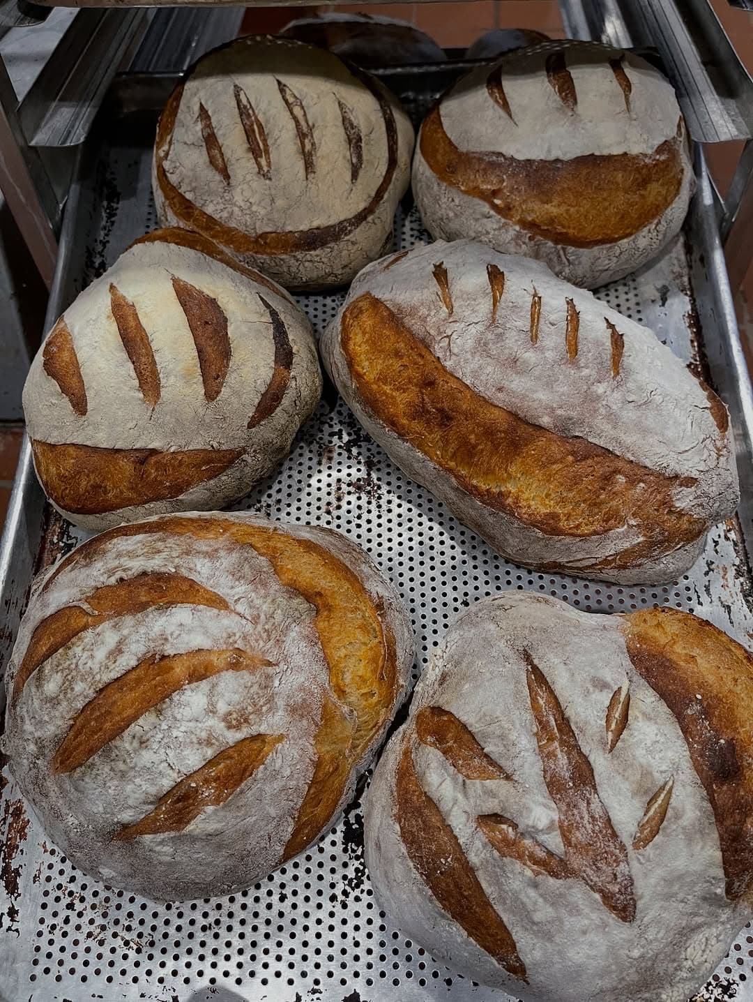 House Made Sourdough Bruschetta at Vespa Rossa — 1 of 2