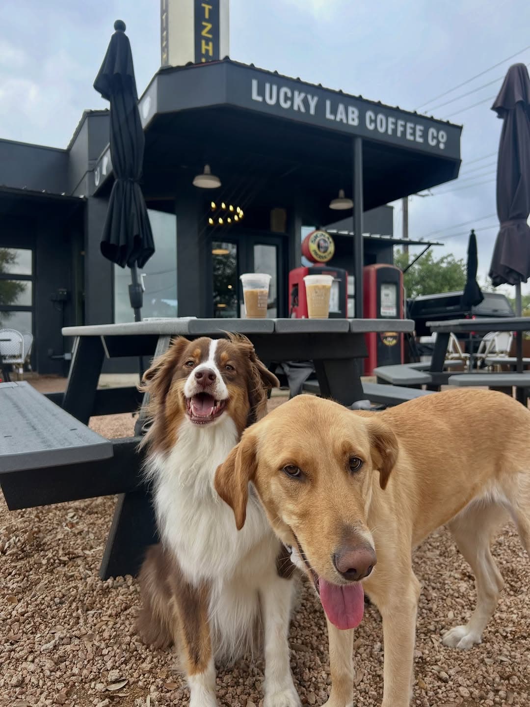 Post media — 1 of 3