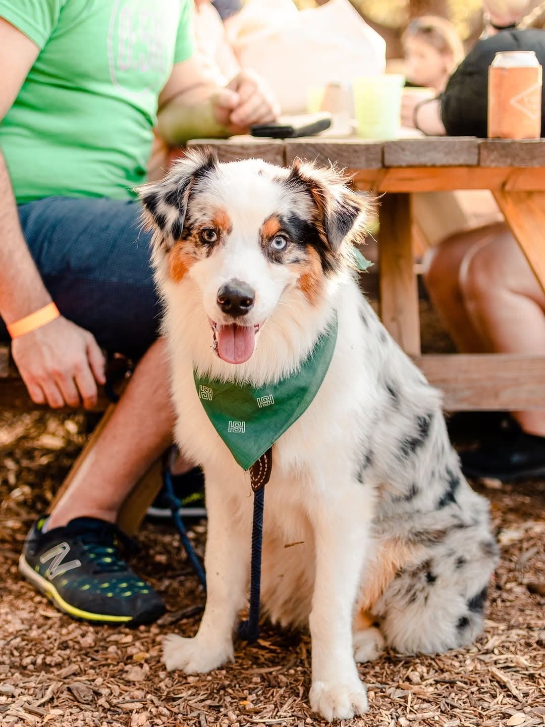 May Events & New Menu at Vista Brewing — 1 of 10