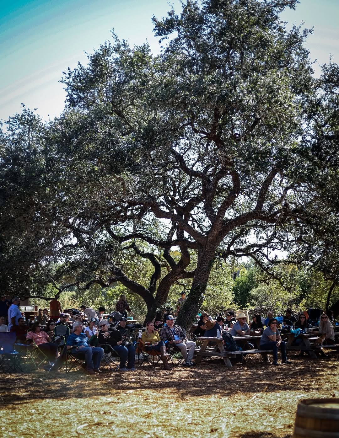 Vista Brewing Open Memorial Day — 1 of 3