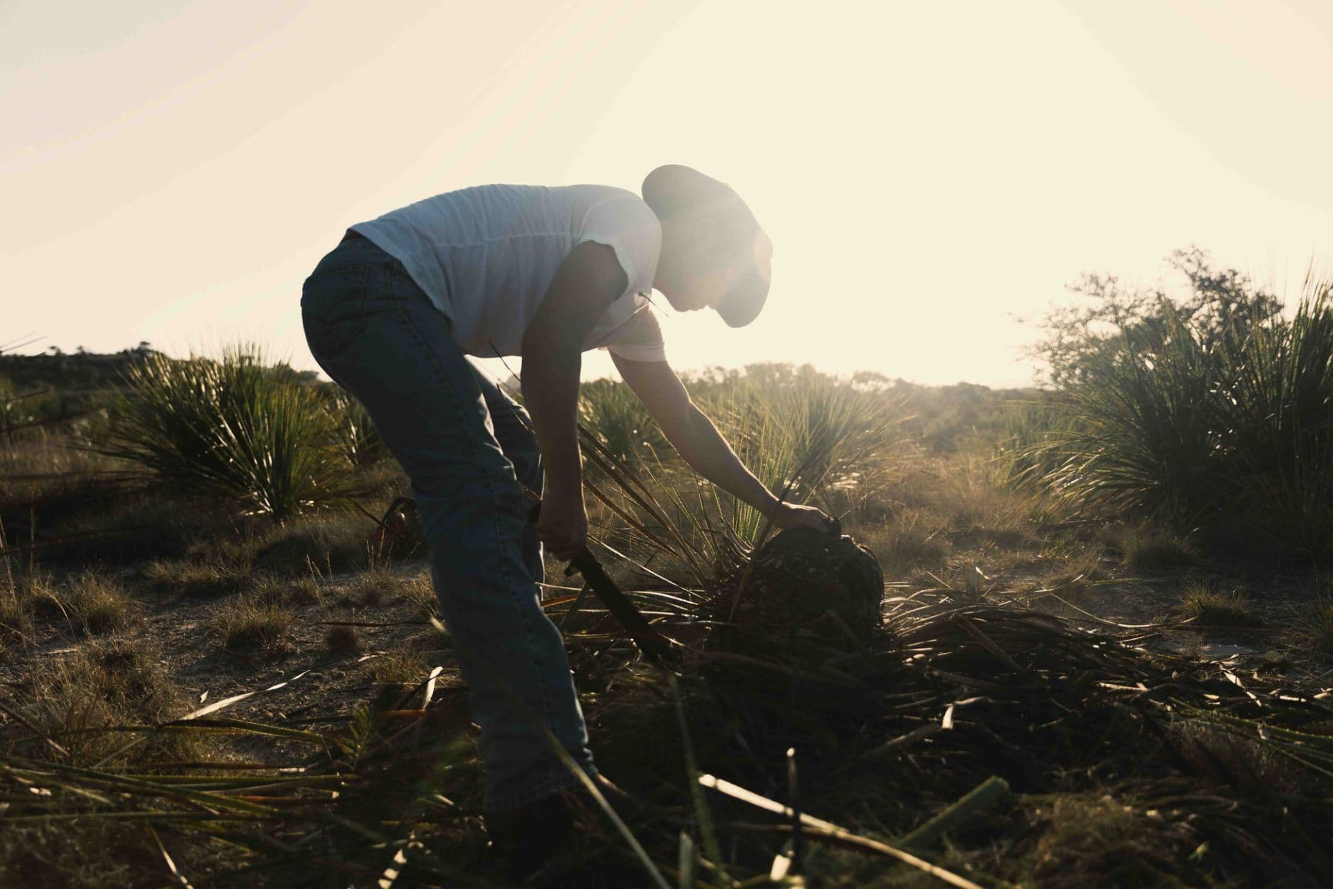 Desert Door Distillery cover