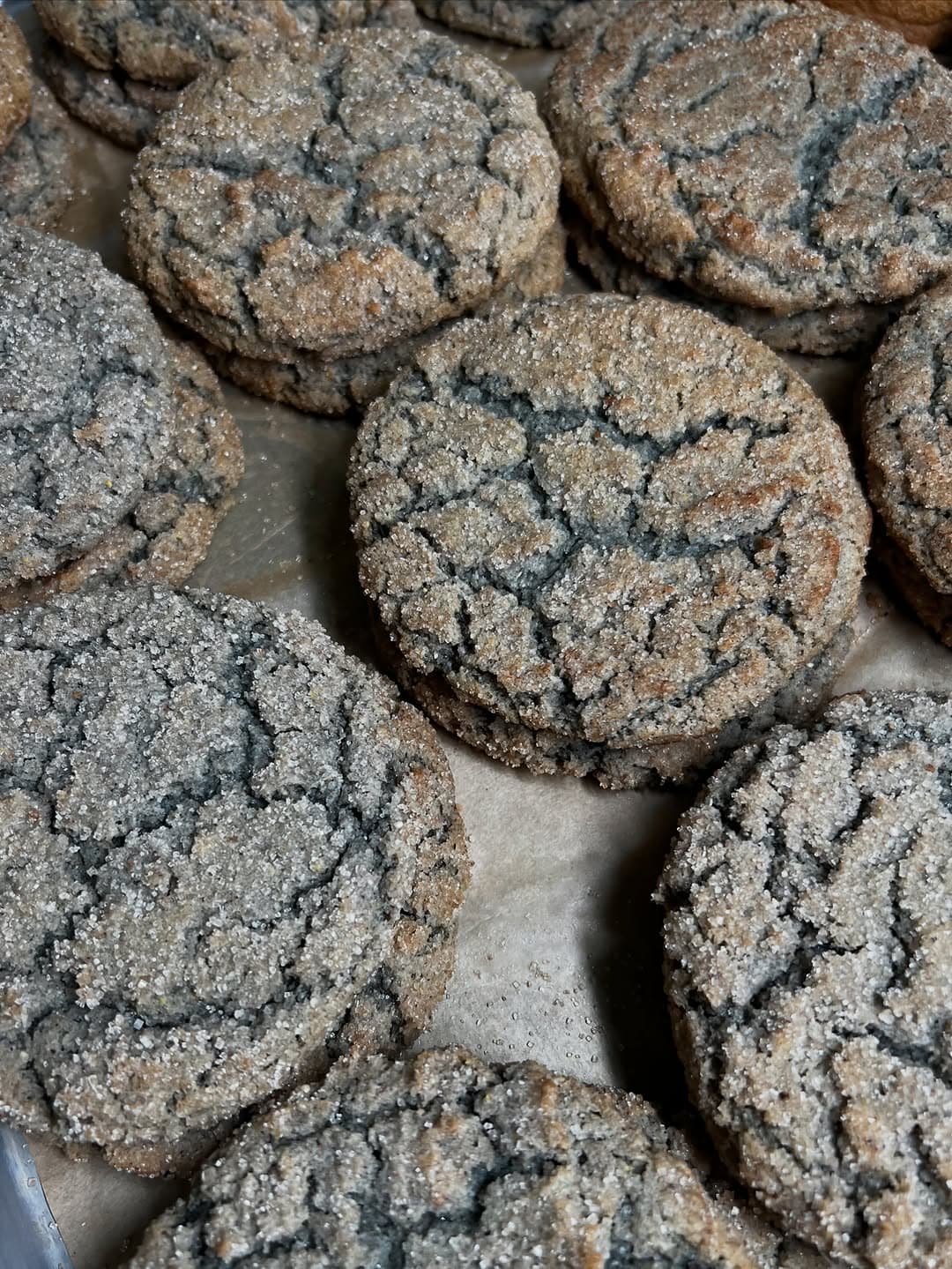 Hopi Blue Corn Doodles Benefit at Abby Jane Bakeshop — 1 of 2