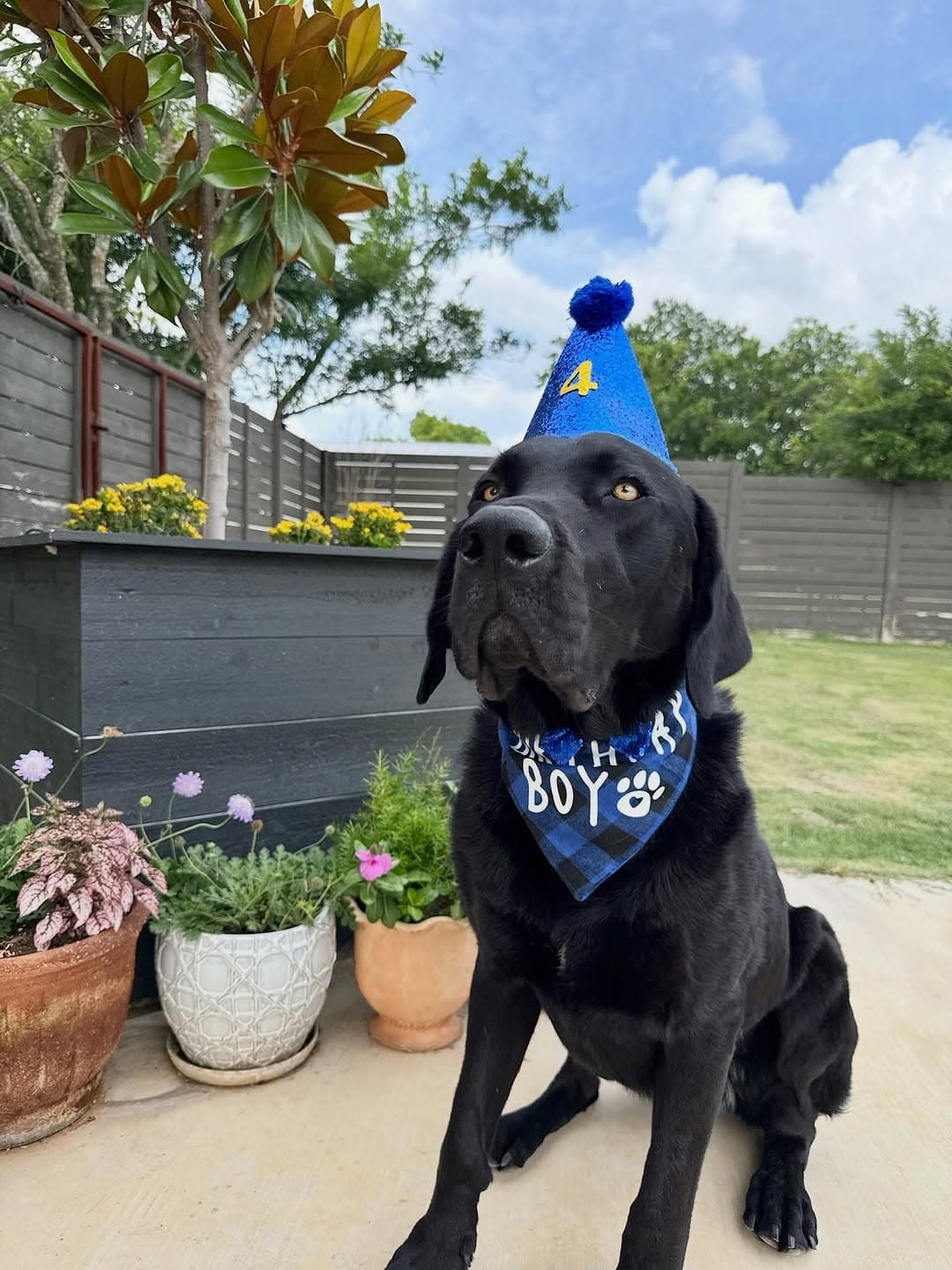 Lucky's Birthday Pup Cup Giveaway at Lucky Lab Coffee Co. — 1 of 2