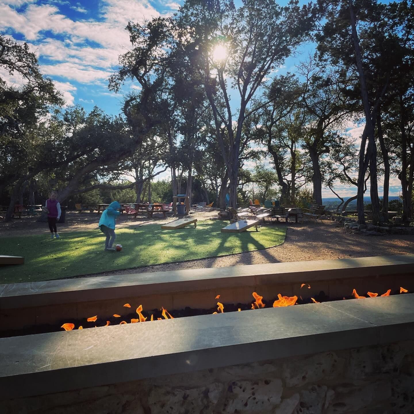 The Shady Llama cover